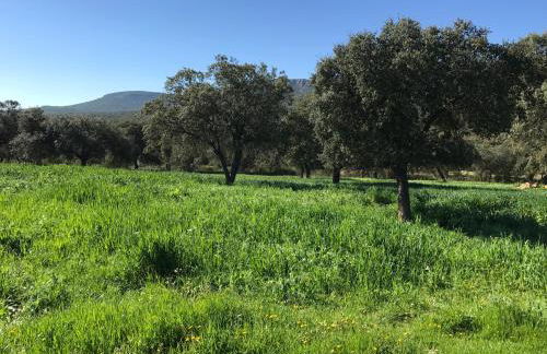 Casa Rural de la Finca Sierra Grande - Foto 33