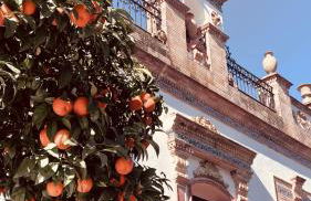 La Payana, Prado del Rey muy cerca de El Bosque - Foto 39