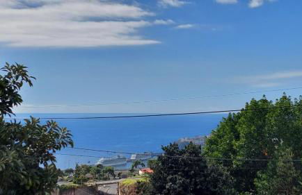 Villa Strelitzia - Foto 40