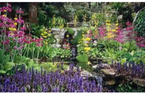 Trelawne Garden Annexe - Foto 51