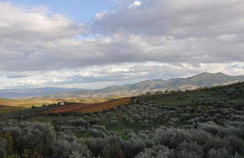 Quinta Rota d' Oliveira - Foto 53