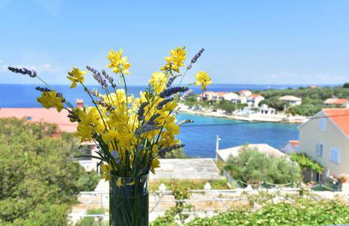 Apartmani Badurina - Maslina - Photo 2