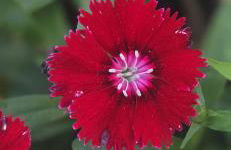 Beautiful Home in Freeport, New York 11520 - Foto 9