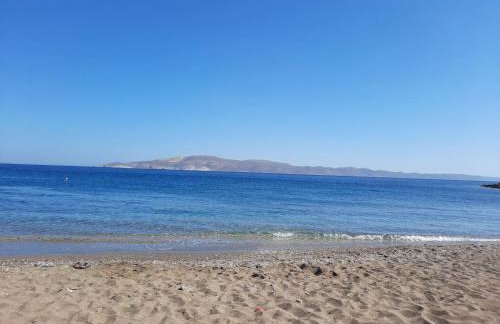 Lilly Apartments - Photo 4