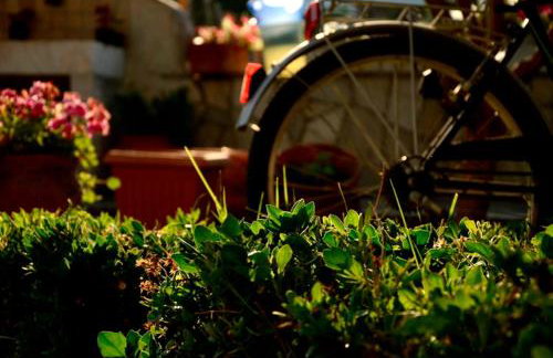 Garden House - Foto 33