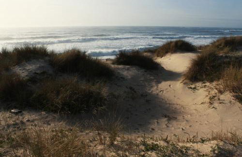 Millhousedune - Foto 23