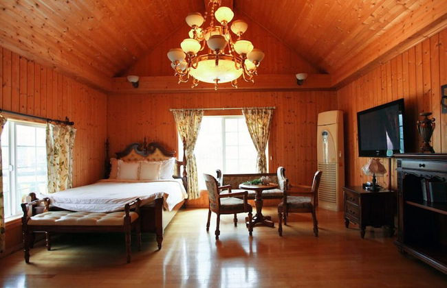 Gyeongju Europe Village Pension - Foto 17