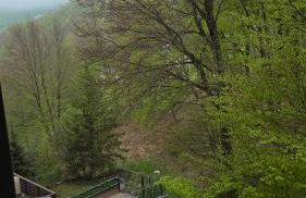 La Tana del Capriolo - Foto 45