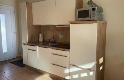 Igelnest im Küstenwald Graal-Müritz - Foto 4