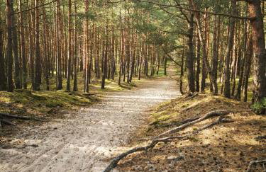 M&K Apartamenty Przystań Świbno - Photo 57