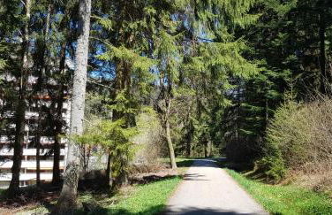 Ferienwohnung Tannenballett im Schwarzwald - Foto 41