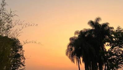 Casa Histórica de Sérgio Ferro - Arquitetura Moderna - Foto 5