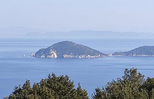 Appartamento nel parco - Foto 54