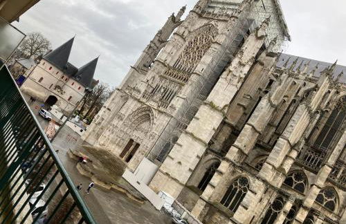 Lovely appartement Vue cathédrale, Hyper centre, proche Aéroport et Gare SNCF - Foto 16