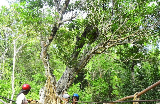 Playa del Carmen Maya Día de la Adrenalina ATV Tirolesa y Cenote - Foto 6