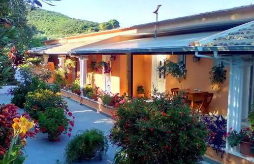 Marika Garden Studios - Foto 1