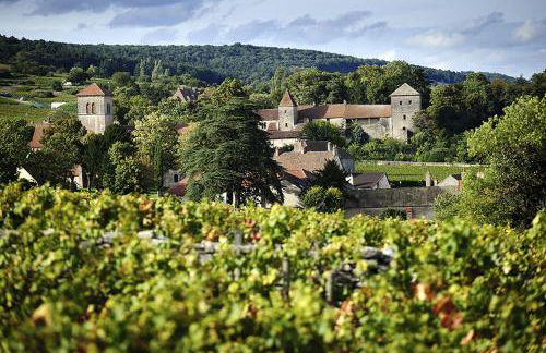 Le Richebourg - Charmant T2 Cosy, tout confort - Foto 8