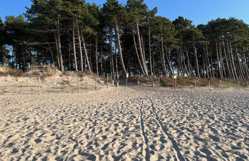 Domki Zalesie - Foto 42