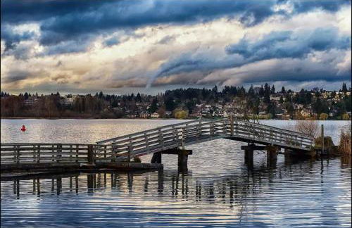 Montlake Apartments - Arboretum, UW, Husky Stadium - Foto 10