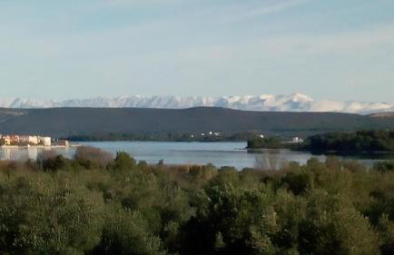 Grand Vista - Photo 8