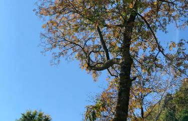 Villa Silvia - Photo 70