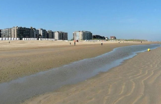 Sunny Escape by the Shore - Photo 37