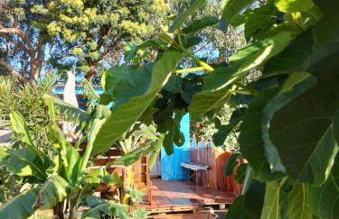 Sea Mountain House - Foto 61