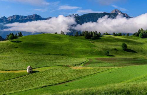 Stroblhof - Photo 48