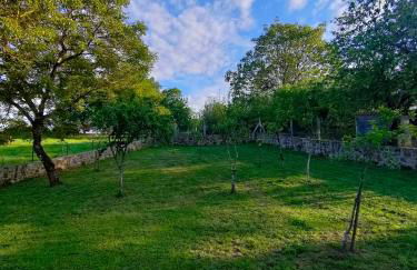 Casa Telmo - Foto 20