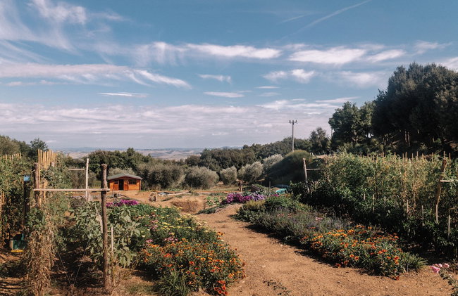 Mastrojanni Relais - Small Luxury Hotels of the World - Photo 119