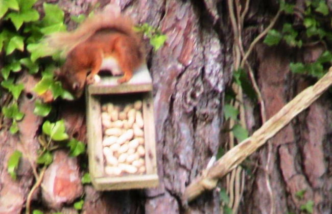 The Old Kitchens - Foto 40