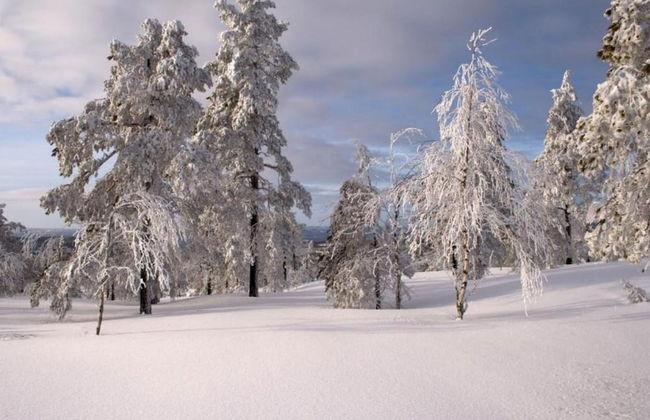 Ski, Sauna, and Scandinavian Serenity Chalet - Foto 37