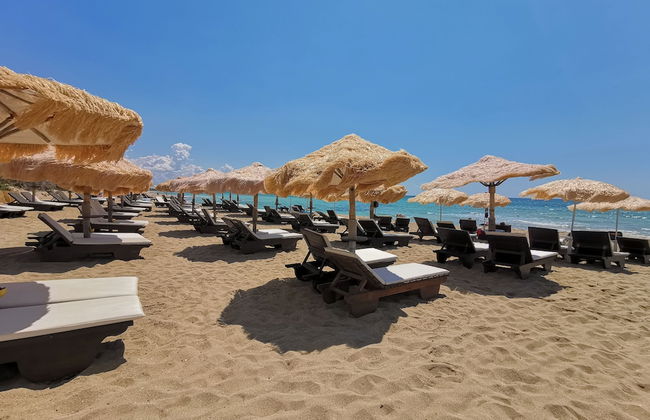 Samanà Bed - Foto 55