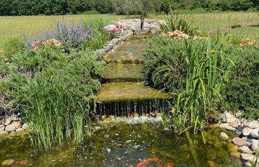 La petite maison dans le Quercy - Foto 17