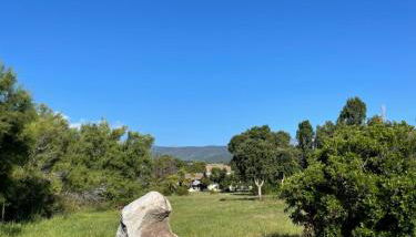 Palauma Plage - Foto 4