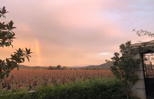 La Rose des Vins - Photo 30