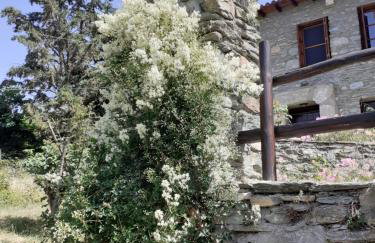 The Ambassador Residence - Traditional stone house - Foto 47