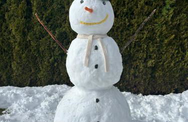 Oberprantschöllhof - Horse Mountain Stable - Foto 14