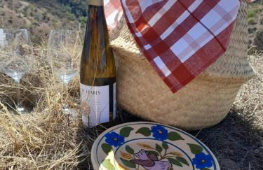 Natur Amêndoa - Photo 24