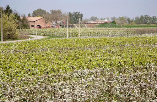 Agriturismo Dosso al Porto - Photo 22