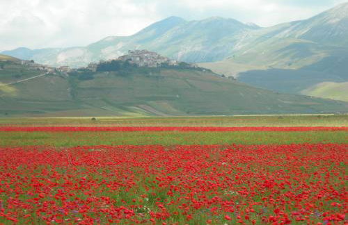 Umbria Valnerina in Noble Residence near Spoleto Apartment x 4-6 persons - Foto 26