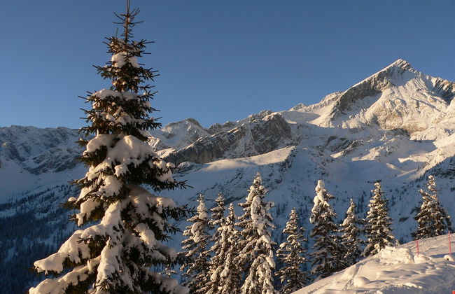 Ferienwohnungen Zugspitze - Foto 57