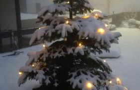 Ferienhaus Rosemarie - Foto 18