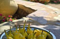 Sa Perda Lada - Foto 44