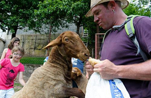 Nengshof Ferienwohnungen Mohnblume und Kornblume - Foto 10