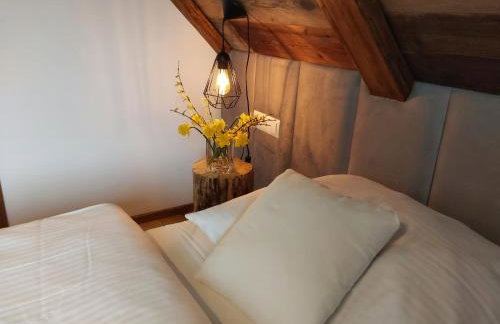 Willa Maciejka - Domek Narciarski - Foto 22