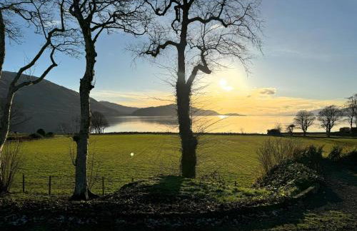 Ash, Birch and Rowan Self Catering Cabins - Photo 33