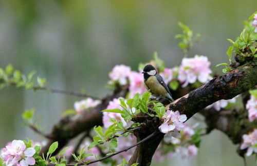 Residence Streitlhof - Foto 10