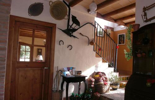 Mas del Salin - Foto 14