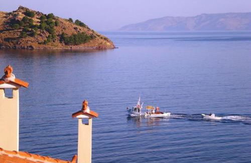 Birds Bay Resort - Photo 22